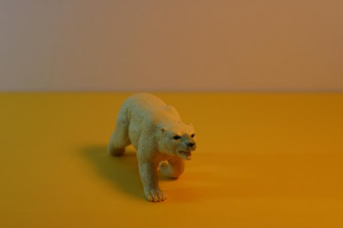 Polar bear on yellow base